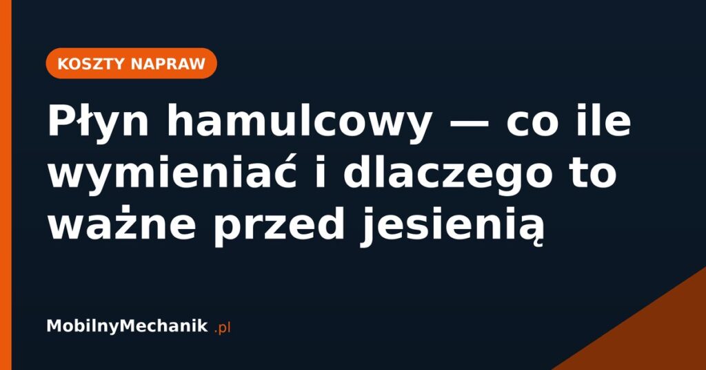 Płyn hamulcowy - co ile wymieniać i dlaczego to ważne przed jesienią