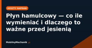 Płyn hamulcowy - co ile wymieniać i dlaczego to ważne przed jesienią